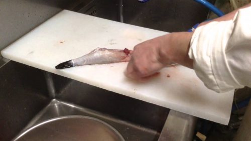 フグの天敵って