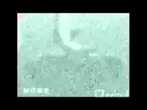 深海のヒトガタの正体